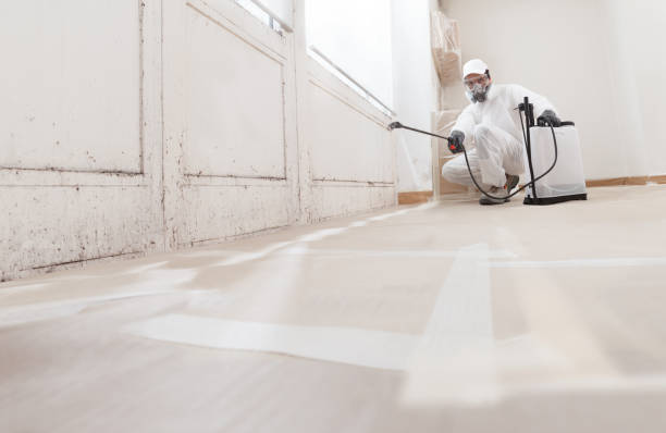 Post-remediation clearance in Nottingham